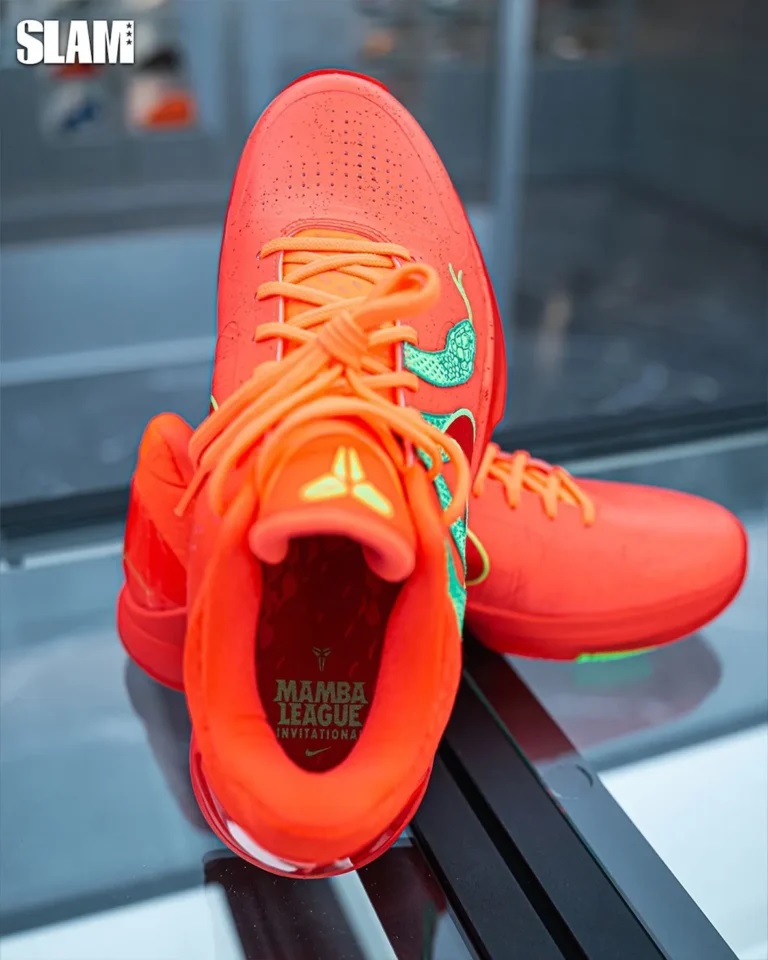 543f606cb7fda781385812ca50199826c67e86b6.jpg