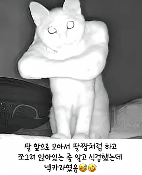 e693ec64f8fe55ef04985fa8cbb2785315fa59f9.png